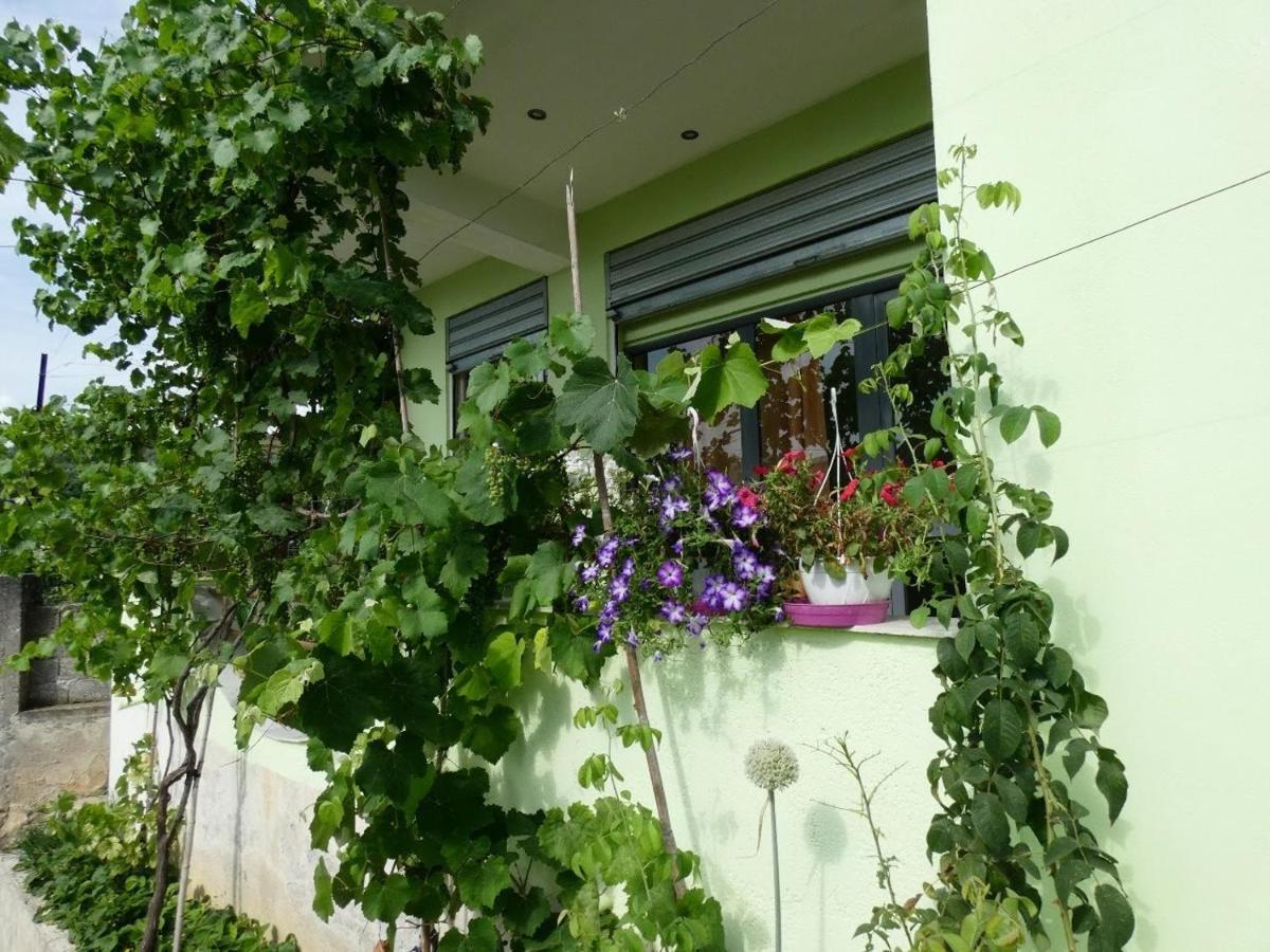 Guesthouse Aleksander Berati Exterior foto